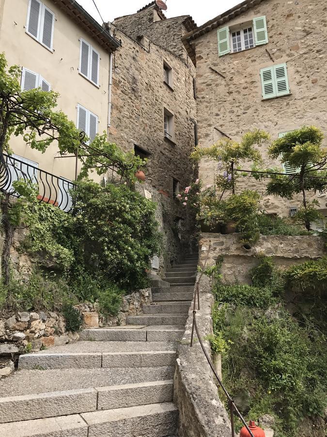 Camping Le Parc Des Monges Auribeau-sur-Siagne Exterior photo